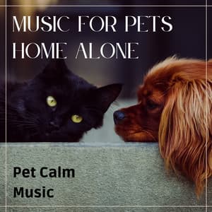 Music for Pets Home Alone - Pet Calm Music - Pet Music World