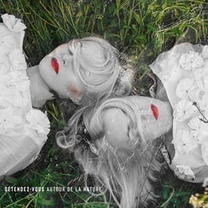 Détendez-vous autour de la nature: allongé dans l'herbe et pensant à la vie - Serenity Nature Sounds Academy