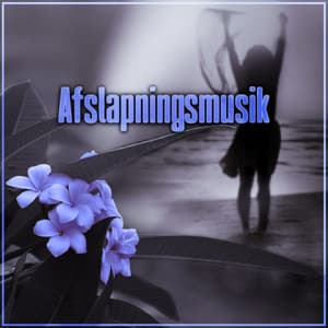 Afslapningsmusik - Ron Mertier