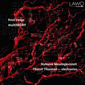 Knut Vaage: multiMORF - Knut Vaage