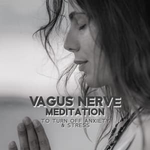 Vagus Nerve Meditation to Turn off Anxiety & Stress - Less Stress Music Academy