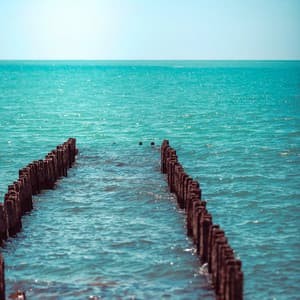 1 Coastal Night: Soothing Rest - Seascapers