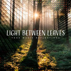 Light Between Leaves - Yoga Music Reflections