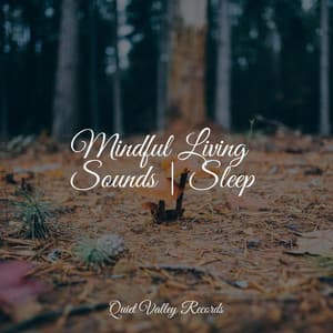 Mindful Living Sounds | Sleep - Namaste Healing Yoga