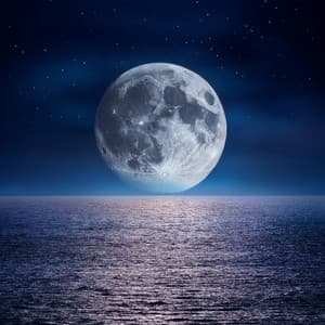 Vibraciones Tranquilas De La Noche: Música Suave Para Noches Serenas - Sonidos ambientales de la naturaleza