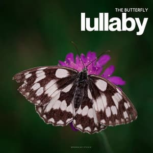 The Butterfly Lullaby - Nursery Rhymes and Kids Songs