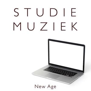 Studie Muziek: Achtergrondmuziek voor de Concentratie tijdens het Studeren of Lezen - Agua Del Mar