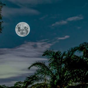 50 Flowing Soundscapes: Pearl Moon - Sea Waves Sounds