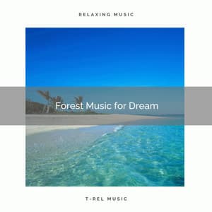 01 Forest Music for Dream - Spa Music Hour