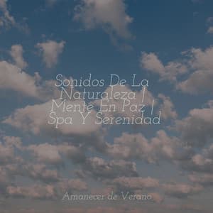 Sonidos De La Naturaleza | Mente En Paz | Spa Y Serenidad - Sonido Del Bosque y Naturaleza
