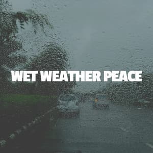 Wet Weather Peace - 24H Rain Sounds