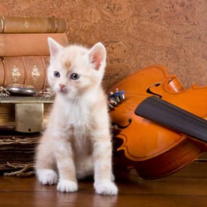 Catnap Calm Crescendo: Music For Relaxed Sleep - Noise of Colors Radio 1