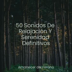 50 Sonidos De Relajación Y Serenidad Definitivos - Meditation