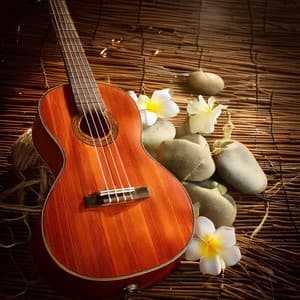 Massage Melodies: Guitar Calming Tones - Chilled Background Guitar Music