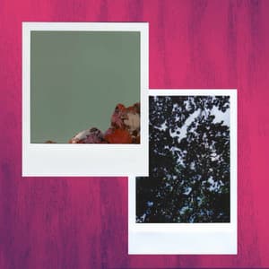 Backdrop for Cool Shadows - Piano Duo - Música de Trabajo