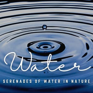 Aquatic Elegance: Serenades of Water in Nature - Nature Field Recordings