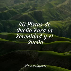 40 Pistas de Sueño Para la Serenidad y el Sueño - Canciones De Cuna Para Dormir Bebes