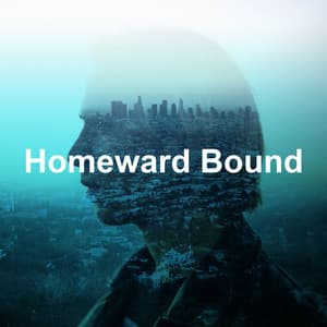 Homeward Bound - Acoustic Hits