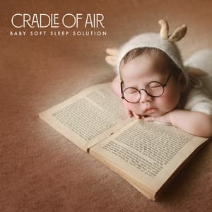 Cradle of Air - Baby Soft Sleep Solution