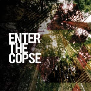 Enter the Copse - Nature Ambience