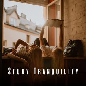 Study Tranquility: Guiding with Meditation Music - Soft Background Music