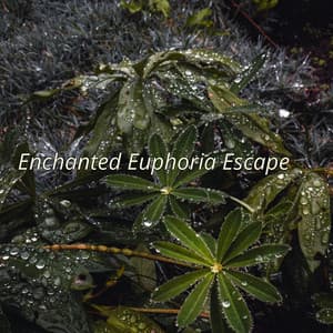 Enchanted Euphoria Escape - Spiritloom