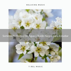 Sonidos Perfectos De Agua y Ruido Negro para Estudiar - Ruido Blanco