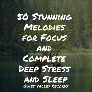 50 Stunning Melodies for Focus and Complete Deep Stress and Sleep - Master Meditação