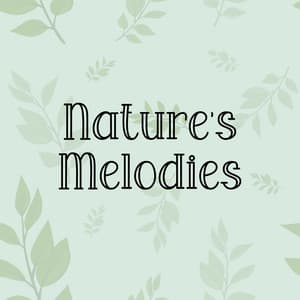 Natures Melodies - Rain Sounds Nature Collection