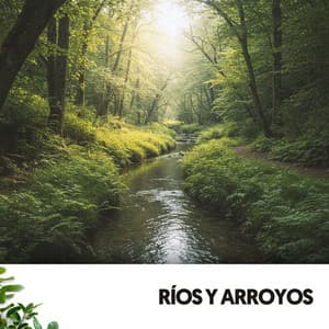 Ríos y Arroyos: Melodías acuáticas - Ruido Blanco Hart