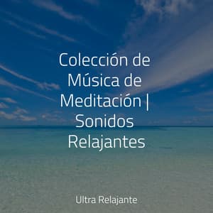 Colección de Música de Meditación | Sonidos Relajantes - Meditação Zen