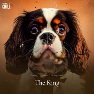 #01 The King - Dog Music