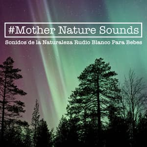 #Mother Nature Sounds - Sonidos de la Naturaleza Rudio Blanco Para Bebes