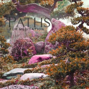 Paths For Meditation - Magic Leaf Creator