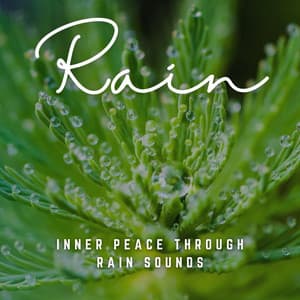 Raindrop Reflections: Inner Peace through Rain Sounds - Ricky Rainsound