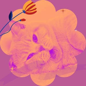 Spacious Ambiance for Cozy Kittens - Cat Music Therapy