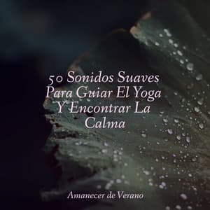 50 Sonidos Suaves Para Guiar El Yoga Y Encontrar La Calma - Musica Romantica Ensemble
