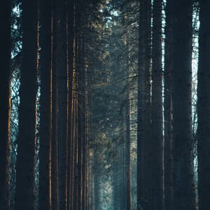 Baby Soothe Sound - Sleepy Sounds