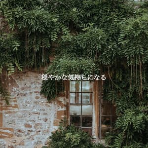 穏やかな気持ちになる - Cafe BGM