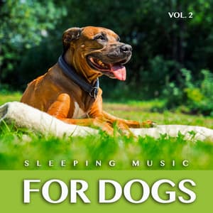 Sleeping Music For Dogs: Calm Dog Music For Dog's Ears and The Best Music For Pets, Vol. 2 - Dog Music