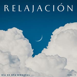 Relajación: Día De Spa Binaural Vol. 1 - Spa de ritmos binaurales