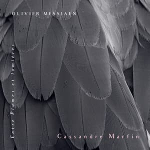 Entre plumes et lumières - Olivier Messiaen
