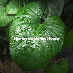 Homey inside the House - Wednesday Morning Jazz Playlist