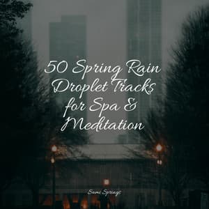 50 Spring Rain Droplet Tracks for Spa & Meditation - Oasis of Meditation
