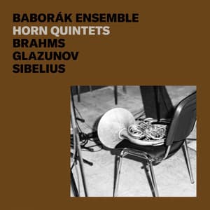 Brahms, Glazunov, Sibelius: Horn Quintets - Radek Baborak