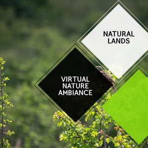 Virtual Nature Ambiance - Natural Lands - Sleepy Times