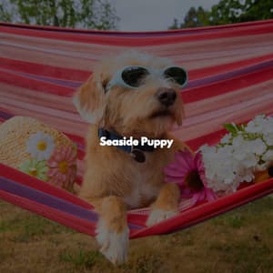 Seaside Puppy - Jazz Music for Studying