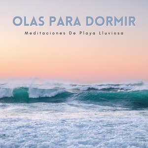 Olas Para Dormir: Meditaciones De Playa Lluviosa - Lluvia Para Dormir Mejor