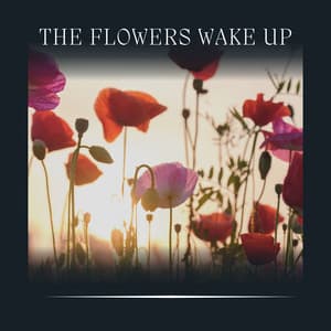 The Flowers Wake Up - Mother Nature Recordings