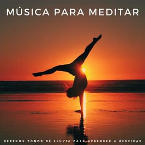 Música Para Meditar: Serenos Tonos De Lluvia Para Aprender A Respirar - Sonidos De Lluvia